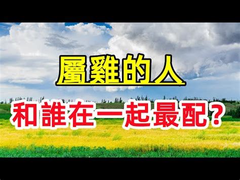 虎和雞合嗎|【虎和雞合嗎】史上最詳細！虎和雞合嗎？生肖虎雞相配婚姻大解。